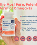 NativePath Antarctic Krill Oil - Wild-Caught Omega 3 Krill Oil 500mg Softgels with EPA DHA and Astaxanthin - Supplement for Joint Heart Brain and Immunity - 60 ct - No Fishy Aftertaste