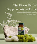 Gaia Herbs Rhodiola Rosea 60 Capsules