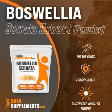 BulkSupplements Boswellia Serrata Extract Powder - Boswellia Powder - Frankincense Resin - Boswellia Serrata Powder - 1000mg of Boswellia Extract (500 Grams - 1.1 lbs)