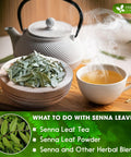 FreshDrinkUS, Premium 50 Mulberry Leaf Tea Bags, 100% Natural & Pure from Mulberry Leaves. Herbal Tea. Made with Natural Material Tea Bags. No Sugar, No Caffeine, No Gluten, Vegan.