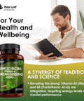 Ginkgo Biloba And Korean Ginseng Tablets 7000Mg Ginkgo Biloba Herbal Supplements & 600Mg Panax Ginseng High Strength Ginseng Extract Enriched With Vitamin B3 and B5 360 Vegan Tablets