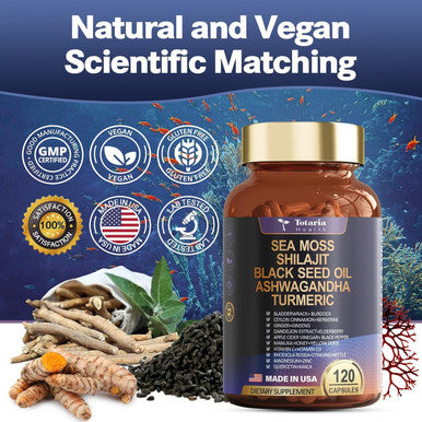 Totaria 25 In 1 Sea Moss Black Seed Oil Ashwagandha Ginger Shilajit Supplement 18525Mg Sea Moss Capsules With Bladder Burdock Ceylon Cinnamon Berberine Acv Manuka Vit C and D3 For Immune Gut and Energy 120 Capsules