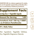 Solgar Pantothenic Acid 550 Mg Vegetable Capsules Vitamin B5 Energy Metabolism Nervous System Support Gluten Free Dairy Free Kosher Servings Standard Packaging 100 Count