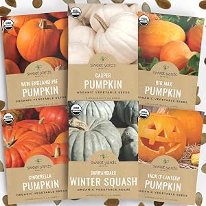 Warty Goblin Pumpkin Seeds ÃƒÂ¢Ã¢â€šÂ¬Ã¢â‚¬Å“ 10 Heirloom Seeds for Planting, Unique Warty Texture, Bright Orange, Small-Medium Size, Perfect for Halloween Decor and Fall Garden Fun