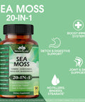 NaturaLife Labs Sea Moss 6000Mg - Black Seed Oil 2500Mg - Bladderwrack 2000Mg - Turmeric 1500Mg Ashwagandha 1000Mg - Burdock 1000Mg - Vitamin C D3, Yellow Dock Root Manuka Dandelion - 90 Veggie Caps
