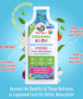 Maryruth Organics Multivitamin for Kids Sugar Kids Multivitamin Liquid Vitamins for Kids Immune Support Supplement Cognitive Health & Overall Wellness USDA Organic Vegan Non-GMO 1 Serving