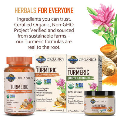 Garden of Life Organics Extra Strength Turmeric Inflammatory Response 120 Tablets-100Mg Curcumin (95% Curcuminoids) Black Pepper Probiotics Organic Non-Gmo Vegan Gluten Free Herbal Supplement
