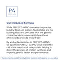 BodyHealth PerfectAmino Powder - BCAA and EAA Powder for Pre and Post Workout - Amino Acid Energy Drink for Men and Women to Support Lean Muscle and Recovery - Strawberry - Stick Packs - 15 Servings
