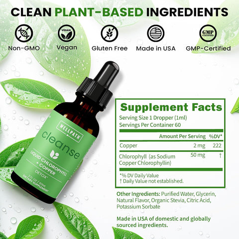 Wellpath Chlorophyll Liquid Drops With Copper - High Potency Vegan Liquid Chlorophyll For Body Odor Liver Detox Digestion Support & Immune Support - Internal Deodorant Made In Usa Non-Gmo 2 Fl Oz