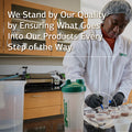 Standard Process Zymex Wafers Whole Food Digestion & Digestive Health