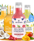 Mango Pink Pepper Sea Moss Electrolyte Lemonade Ã¢â‚¬â€œ Exotic Spiced Hydration Drink Ã¢â‚¬â€œ No Added Sugar with Sea Moss & Electrolytes Ã¢â‚¬â€œ 4 x 12 fl oz Bottles Ã¢â‚¬â€œ Made in USA