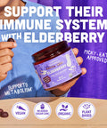 Llama Naturals Elderberry Gummies for Kids Vegan Organic Immune Support Supplement with Vitamin C and Zinc Toddler Real Fruit Gummy Vitamins for Immunity Chewable No Added Sugar Cane 120 Ct