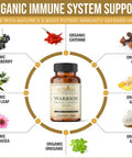 Khroma Herbal Products Warrior - Organic Immune System Support - Made with Nature's 8 Most Potent Immunity Defense Herbs