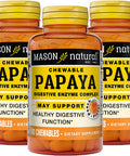 Mason Natural Papaya Digestive Enzyme Complex - Healthy Digestive Function, Promotes Nutrient Absorption, Peach Flavor, 100 Chewables (Pack of 3)