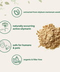 Micro Ingredients Organic Milk Thistle Tea Powder 3.5 ounces | 400 Servings | Premium Milk Thistle Liver Detox Supplement | Contains Active Silymarin | Non-GMO Vegan Friendly Eco-Friendly Recyclable Bags
