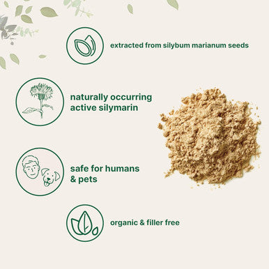 Micro Ingredients Organic Milk Thistle Tea Powder 3.5 ounces | 400 Servings | Premium Milk Thistle Liver Detox Supplement | Contains Active Silymarin | Non-GMO Vegan Friendly Eco-Friendly Recyclable Bags