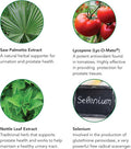 Botanic Choice Prostate 9 Complex - Prostate Supplements For Men With Saw Palmetto, Pygeum, & Lycopene - Advanced Prostate Health Supplement For Urinary Flow & Cellular Health - 30 Softgels