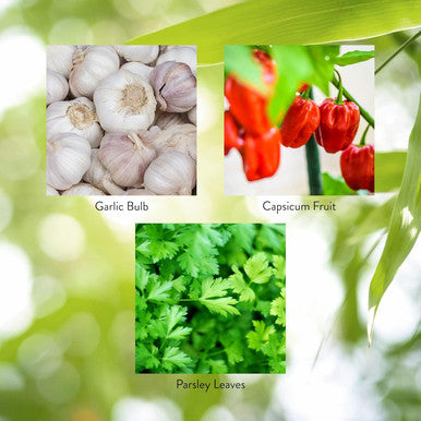 Nature'S Sunshine Capsicum & Garlic w/Parsley 100 Capsules | Helps Support Digestion Immunity Circulation and Glandular Health