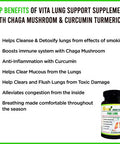 Top Lung Support Supplement for Lung Cleanse and Detox, Respiratory Supplement, Immune System Booster with Chaga Mushroom, Curcumin Turmeric, Honeysuckle Flower, Pomegranate