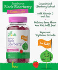 Carlyle Elderberry Gummies for Kids | 120 Count | Zinc and Vitamin C | Berry Flavor | Vegan Non-GMO and Gluten | by Lil' Sprouts