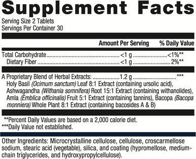 Metagenics Exhilarin - Energy & Stress Tolerance Support - with Ashwagandha Holy Basil Amla & Bacopa - Designed in Style of Ayurvedic Medicine - 60 Tablets