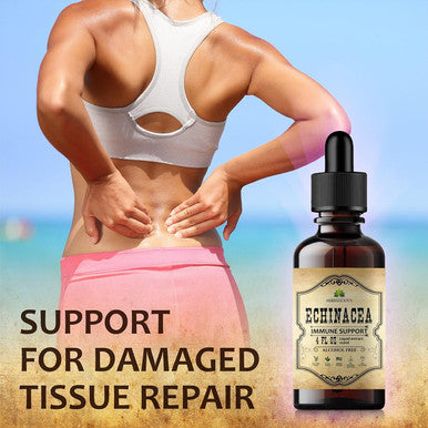 Herbalicious Echinacea Supplement Root Extract Liquid Drops - Antioxidant Rich Formula for Immune Function Support - Vegan Herbal Tincture - Non-GMO Alcohol- & Gluten- 4oz