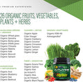 Kaged Muscle Outlive 100 Organic Superfoods and Greens Powder with Apple Cider Vinegar, Antioxidants, Adaptogen, Prebiotics,(Apple Cinnamon, 30 Servings)