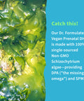 Garden of Life Dr. Formulated Prenatal Vegan Dha - Certified Vegan Omega 3 Supplement With 400Mg Dha + Dpa From Algal Omega 3 In Triglyceride Form Non-Gmo Algae Omega 3 For Vegans 30 Softgels