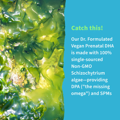 Garden of Life Dr. Formulated Prenatal Vegan Dha - Certified Vegan Omega 3 Supplement With 400Mg Dha + Dpa From Algal Omega 3 In Triglyceride Form Non-Gmo Algae Omega 3 For Vegans 30 Softgels