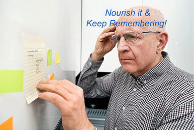 Bodymune Memory Support Supplement for Occasional Memory Loss Mental Fatigue Mental Exhaustion Organic Ginkgo Biloba Ashwagandha Brahmi Chlorella Spirulina Noni Essential Oils More 60Day Supply