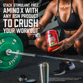 Bsn Amino X 70 Serving