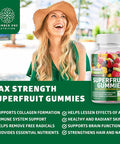 N1N Premium Superfruits Gummies 13 Potent Ingredients and Organic Superfood Greens 28 Powerful Ingredients to Support Collagen Production and Overall Wellness 2 Pack Bundle