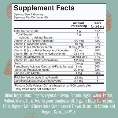 Maryruth Organics Toddler Multivitamin Gummies + Postbiotics | USDA Organic | Vitamins for Kids Ages 2+ | Immune Support | Vitamin C | Vitamin D3 | Vitamin A | Zinc | Vegan | Non-GMO | 60 Servings