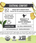Numi Organic Tea Decaf Ginger Lemon 16 Count Box of Tea Bags Decaf Green Tea (Packaging May Vary)