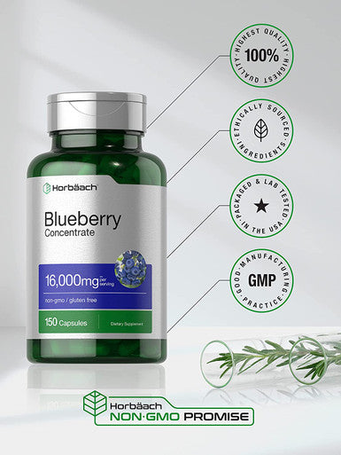 Horbaach Blueberry Extract Supplement 150 Capsules Blueberry Concentrate Non GMO Gluten Free