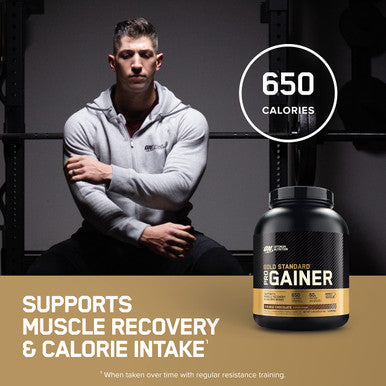 Optimum Nutrition Gold Standard Gainer Double Chocolate 10.19 Pounds