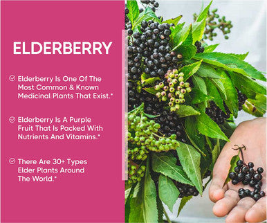 Nui Nutra Elderberry Capsules | 5750mg | 100 Capsules | Maximum Strength Elderberry (10:1 Extract) | Vegetarian | Immune Support | Antioxidants | for Men & Women