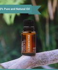 Nature s Fusions Clementine 100% Pure and Essential Oils 5 Fl Oz