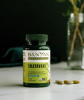 Banyan Botanicals Shatavari Tablets Organic Asparagus Racemosus Root Rejuvenating Adaptogen Tonic That Supports A Healthy Reproductive System* 90 Tablets Non Gmo Sustainably Sourced Vegan