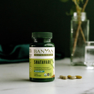 Banyan Botanicals Shatavari Tablets Organic Asparagus Racemosus Root Rejuvenating Adaptogen Tonic That Supports A Healthy Reproductive System* 90 Tablets Non Gmo Sustainably Sourced Vegan
