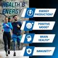 DEDICAD Nad+ Supplement 1000Mg - Pure Nad Supplement Combined To Resveratrol Quercetin Berberine Fisetin Tmg And Grape Seed Energy And Dna Repair Aging Defense Brain Function - 60 Capsules