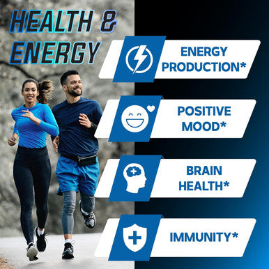 DEDICAD Nad+ Supplement 1000Mg - Pure Nad Supplement Combined To Resveratrol Quercetin Berberine Fisetin Tmg And Grape Seed Energy And Dna Repair Aging Defense Brain Function - 60 Capsules
