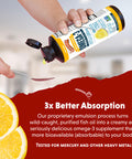 Barlean's, Omega-3 Fish Oil Lemon Creme 16 oz (454 g)
