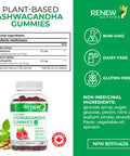 Renew Actives Ashwagandha Gummies For Memory Enhancement & Energy Boost - Used As Rejuvenative Tonic For Health & Wellness- 60 Gummies
