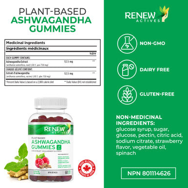 Renew Actives Ashwagandha Gummies For Memory Enhancement & Energy Boost - Used As Rejuvenative Tonic For Health & Wellness- 60 Gummies