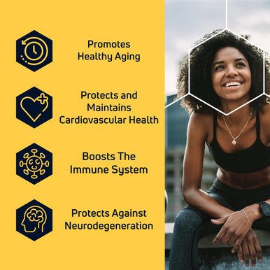 Spermidinelife Natural Supplement, Plant-Based, Wheat Germ Extract With High Spermidine Content And Zinc For Cell Renewal, Vegan-Friendly, 60 Capsules