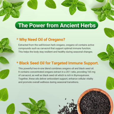 Moravax Oil Of Oregano Softgels With Black Seed Oil High Potency 300 Softgels 6000Mg