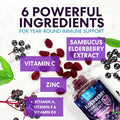 Sambucus Elderberry Immune Gummies, Daily Elderberry Immune Support Vitamins With Vitamin C, Vitamin D3, Zinc, Immune Support Gummy Vitamin Supplement, Black Elderberry For Adults & Kid - 120 Gummies