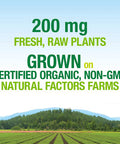 Whole Earth Sea from Natural Factors Womens Prenatal Multivitamin and Mineral Whole Food Supplement Vegan 60 Tablets 60 Tablets