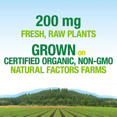Whole Earth Sea from Natural Factors Womens Prenatal Multivitamin and Mineral Whole Food Supplement Vegan 60 Tablets 60 Tablets